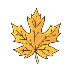 Obraz premium maple leaf vector icon, maple leaf vector illustration - simple illustration of maple leaf, perfect for logos and iconsmaple leaf