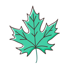 maple leaf vector icon, maple leaf vector illustration - simple illustration of maple leaf, perfect for logos and iconsmaple leaf