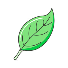 green leaf vector icon, green leaf vector illustration - simple illustration of green leaf, perfect for logos and icons green leaf