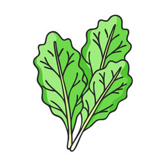leafy greens vector icon, leafy greens vector illustration - simple illustration of leafy greens, perfect for logos and icons leafy greens