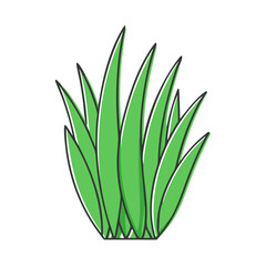 wheatgrass vector icon, wheatgrass vector illustration - simple illustration of wheatgrass, perfect for logos and icons wheatgrass