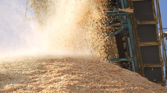  Drying of wood chips. Paper production. Timber industry.
