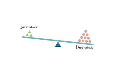 Oxidative stress, an imbalance of free radicals and antioxidants. Vector scientific illustration