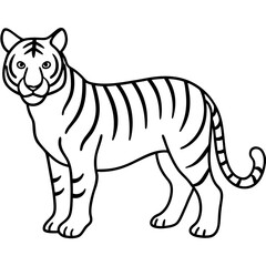 Tiger line art vector illustration 