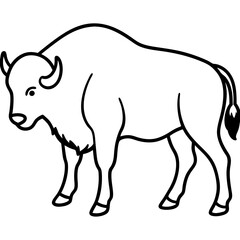 Bison line art vector illustration 