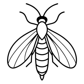 black and white insect drawing clip art preview