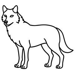 Gray Wolf  line art vector illustration 