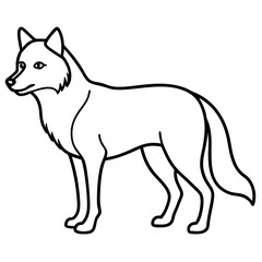 Gray Wolf  line art vector illustration 