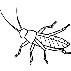 Grasshopper  line art vector illustration 