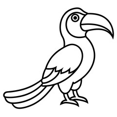 Horn bill line art vector illustration 