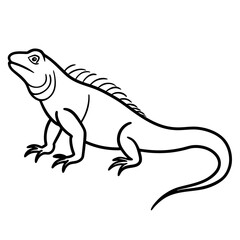 Iguana line art vector illustration 