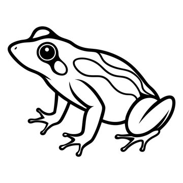 black and white frog outline clip art preview