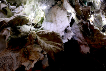 Neige artificielle sur décoration de feuillage de Noël