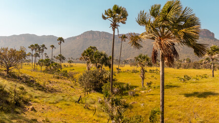 TARDE NAS VEREDAS NO TOCANTINS