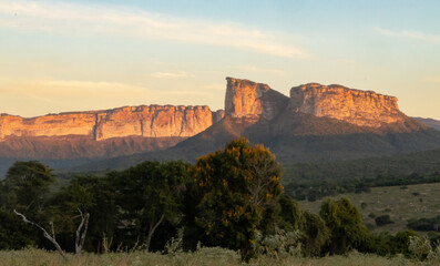 PARED&Atilde;O E CAMELO