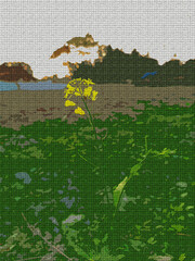Paper Texture Background Of Mustard Flower