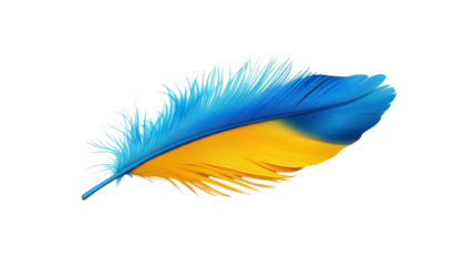 a colorful parrot feather isolated on a transparent background