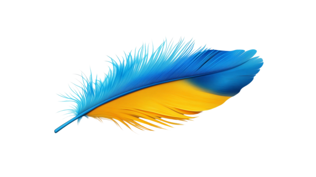 a colorful parrot feather isolated on a transparent background