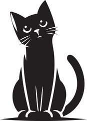 black cat