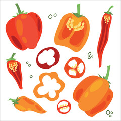 Juicy pepper. Paprika. Hot chili pepper. Seasoning. Useful Vegetables. Harvest. Botanical illustration. Vector illustration