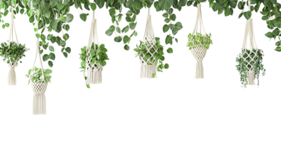 A collection of hanging planters filled with lush greenery, showcasing various plants in decorative macrame holders isolated on white and transparent background.