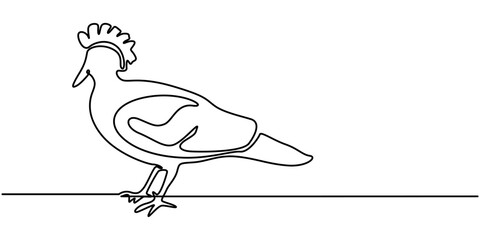 Victoria crown pigeon continuous one line drawing, Crowned dove. A blue pigeon with a fan on its head, Victoria crown pigeon vector illustration white background, A detailed watercolor illustration. 