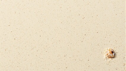 Sandy surface with scattered granules seashell in bottom right corner