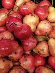 There are a lot of red-orange ripe pears lying