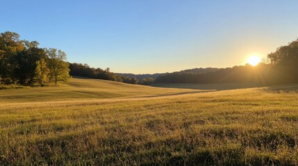 Golden hour sunset over a vast, rolling meadow with trees on the horizon.