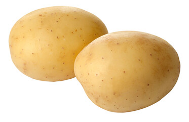 potato isolated on white
