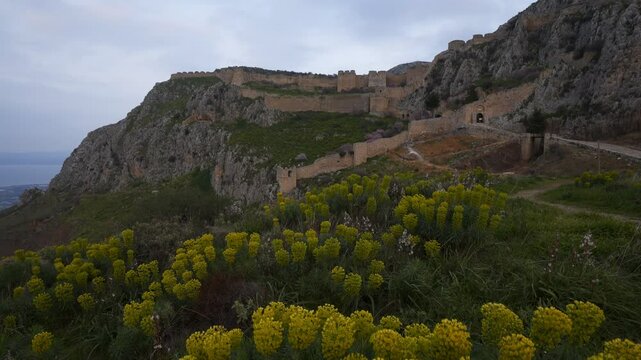 Acrocorinth historic castle on top of the mountain at sunset with Euphorbia characias Mediterranean spurge yellow flowers in Greece