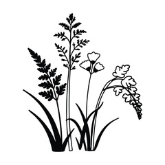 Flower line art. Hand drawn flowers, meadow herbs, wild plants, botanical elements for design projects. Vector illustration.