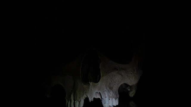 Old human skull with beam of light against dark black background. Dramatic play of light