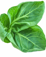 Fototapeta premium Fresh green chard leaves isolated on white background, perfect for healthy recipes and cooking blogs