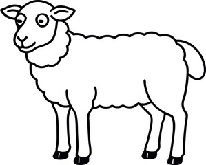 illustration of a sheep