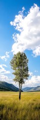 Obraz premium Solitary Tree in Expansive Meadow Under Bright Blue Sky and Fluffy Clouds : Generative AI