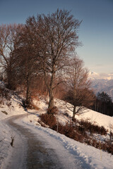 Winter landscape with snow covered Alps mountains