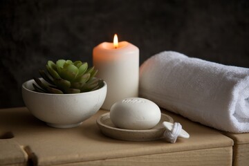 Serene Spa Setting with Candle Succulent and Soap