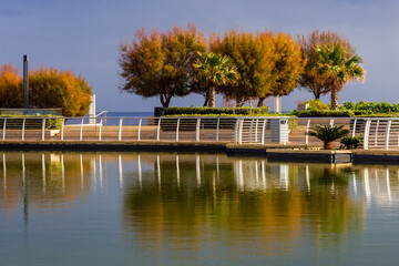 Obraz premium Scenic Waterfront Park with Trees and Reflective Water in Bright Daylight