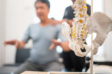 A patient learns about spinal alignment and posture through a model in a clinical setting.
