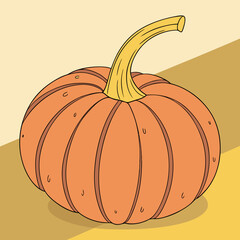 pumpkin on a white background