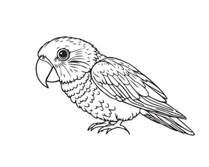 Parrot Bird line art vector illustration, of minimalist style on a white background.