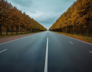 Fototapeta premium road in autumn forest, landscape wallpaper, background