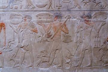 Servants with animals and birds in carvings on walls of the tomb of Kagemni, Vizier to King Teti, in the Necropolis of Sakkara
