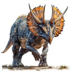 Obraz premium Triceratops dinosaur, prehistoric creature, white background, educational illustration