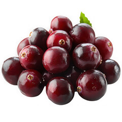Fresh Juicy Cranberries Closeup Pile of Red Berries Healthy Food Photography