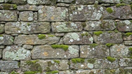 Fototapeta premium The rough surface of a vintage stone wall featuring lichen moss and irregularities revealing the passage of time and the natural elements at play.