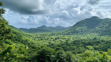 Majestic Mountain Range and Lush Forest Landscape