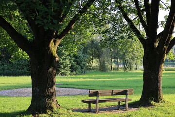 Blick auf den See "Stauweihers T&auml;le" in der Gemeinde Empfingen im Schwarzwald