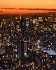 Fototapeta premium Tokyo, Japan